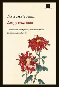 LUZ Y OSCURIDAD ED 2013 - SOSEKI NATSUME