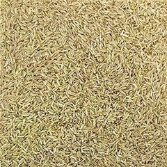 Arroz Integral Agulha 100g - comprar online