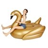 boia cisne dourado para piscina