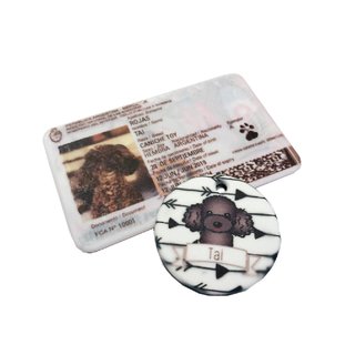 Chapita Personalizada + DNI Mascotero