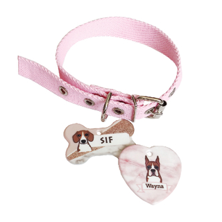 Diseña tu Chapita + Collar