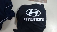 Capa Hyundai Nova Tucson na internet