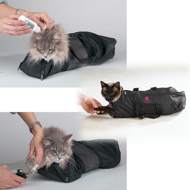 Bolso gatos online