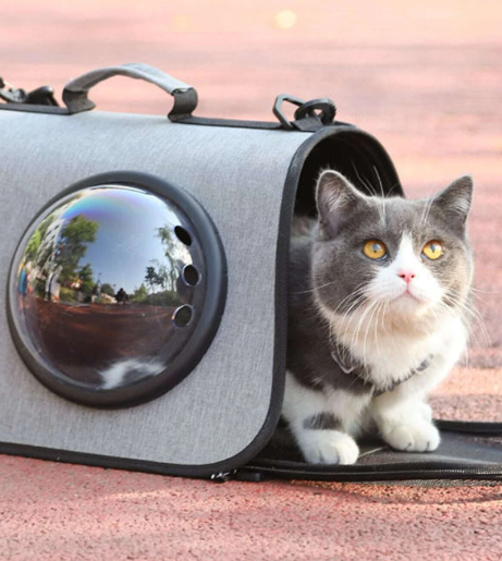 Bolso transportador para gatos con visor burbuja