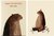 I want my hat back por Jon Klassen - tienda online