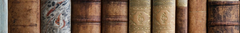 Banner de la categoría Libros