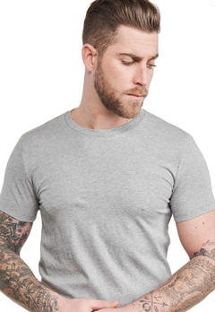 Remera Orlan Gris Claro en internet