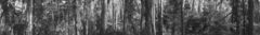 Banner de la categoría MATES