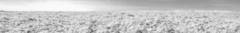 Banner de la categoría SPRING SUMMER 24