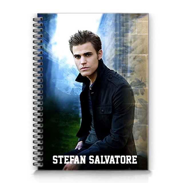 KIT 5 LIVROS DIARIOS DE UM VAMPIRO Diários de Stefan - Outros Livros -  Magazine Luiza