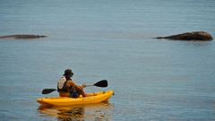 Kayak Atlantik Modelo Simplo con 1 Remo en internet