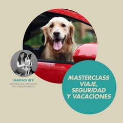 MASTERCLASS VIAJES - comprar online