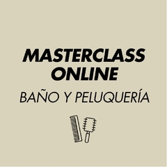 MASTERCLASS BAÑO