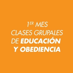 Educación | Presencial u online