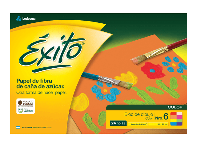 BLOC DIBUJO Nº6 ÉXITO COLORES 24 HOJAS, 120 G/M2 - C: 100010