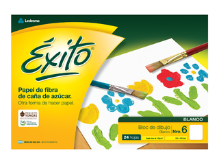BLOC DIBUJO Nº6 ÉXITO BLANCO 24 HOJAS, 120 G/M2 - C: 100011