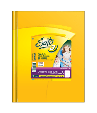 CUADERNO TAPA DURA E3 (19X24) ÉXITO PARA FORRAR 48 HOJAS RAYA, 100 G/M2 - C: 101955