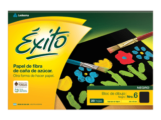 BLOC DIBUJO Nº6 ÉXITO NEGRO 20 HOJAS, 120 G/M2 - C: 102591