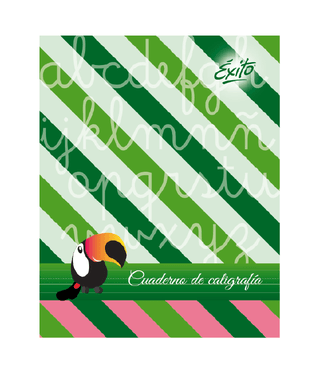 CUADERNO TAPA FLEXIBLE 19X24 ÉXITO CALIGRAFÍA VERDE 24 HOJAS, 100 G/M2 - C: 9000181 - comprar online