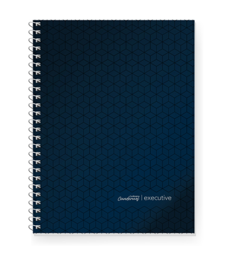 CUADERNO ESPIRAL EXECUTIVE 22x29cm AZUL 84 HOJAS RAYA, 75G/M2 - C: 100762