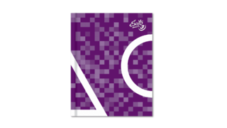 CUADERNO TAPA DURA E3 (19X24) ÉXITO FANTASIA 48 HOJAS RAYA, 100 G/M2 - C: 100940