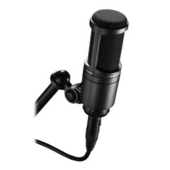 Audio-Technica AT2020*