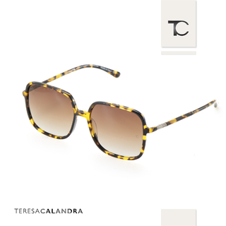 Teresa Calandra Ella Tortoise Teresa Calandra Ella Tortoise