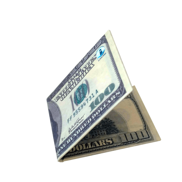Billetera De Papel Tyvek El Polonio Dolar