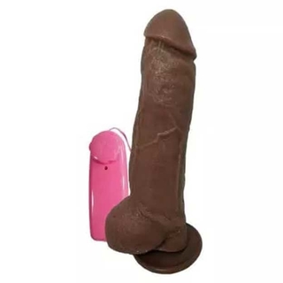 https://www.purainspiracao.com.br/produtos/protese-com-escroto-e-vibrador-233-x-56cm-prazer-e-cia/