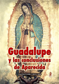 Guadalupe y las conclusiones de Aparecida