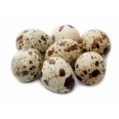 OVOS DE CODORNA (embalagem de 30 ovos)