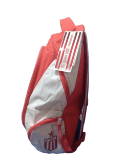 Mochila Estudiantes Dale Leon 18 pulg. - ES022 - comprar online