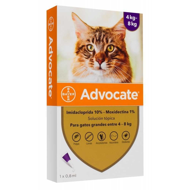 ADVOCATE GATO | BAYER - Oh! Can Pet Shop y Veterinaria