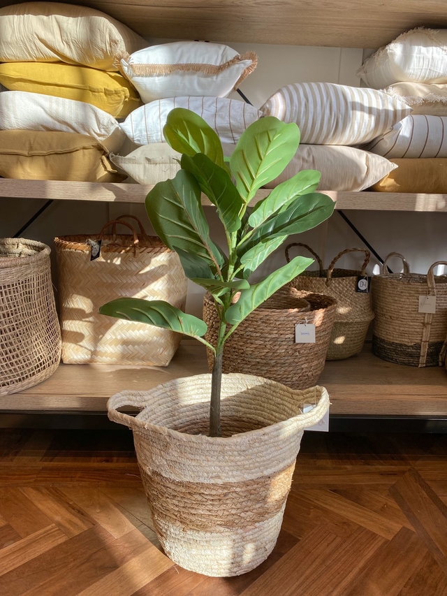 FICUS PANDURATA ARTIFICIAL 70CM Comprar En DecoHome