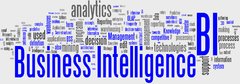 Curso Profissionalizante em Gestão Competitiva e Business Intelligence (BI)