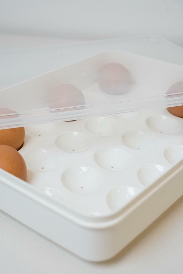 Huevera Coghlans de plástico 2 o 6 huevos