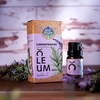 Oleum "CONCENTRACIÓN" con Lavanda, Romero, Menta y Vetiver 10 ml