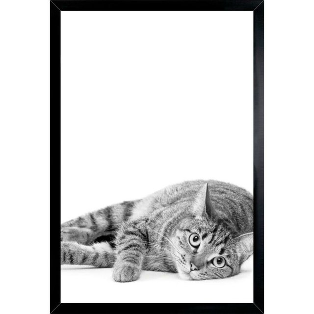 Quadro Decorativo Gato Preto E Branco Desenho Minimalista 4879