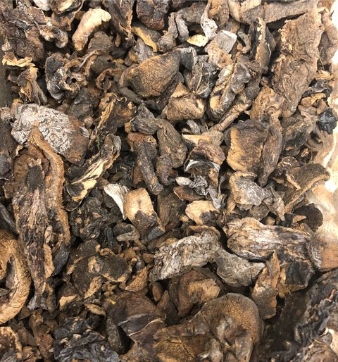 FUNGHI SECO | 100g