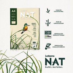 Resma Ledesma Ecologica Nat A4 75gr - comprar online