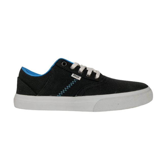 Etnies Jameson 2 EA Skate 3