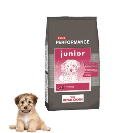 Royal canin performance club new arrivals