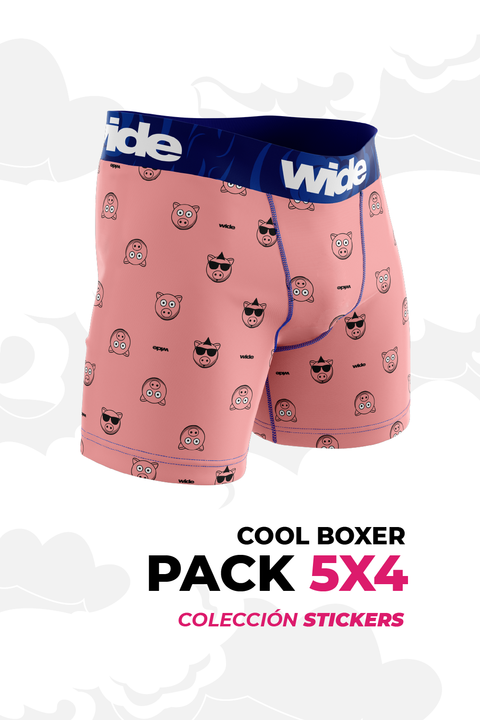 Cool Boxer 5x4 | Colección Stickers