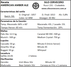 American Amber Ale en internet