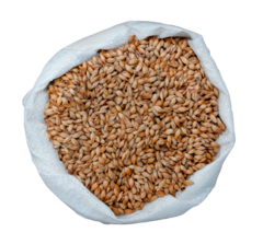 Light Crystal Malt 110EBC (Cara 40°L) The Lucky Squid - Pauls Malt en internet