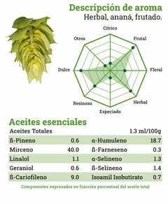 Lúpulo Willamette - Lúpulos Patagónicos - comprar online