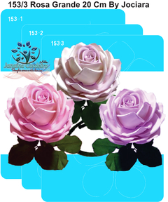153/3 - Rosa Grande