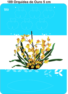 189 - Orquídea Chuva de Ouro (5cm)