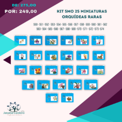 Kit 5MO/25 Miniaturas - Orquídeas Raras - buy online