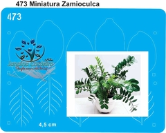473 - Miniatura Zamioculca